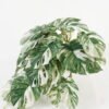 Artificial Plant GS-70623009CONTI-G2_3 Artificial Plant GS-70623009CONTI-G2 Leaves&Sprays&Foliages YeahFlower is one of Chinese leading OEM manufacturers and exporters , supplying the silk flowers, wholesale artificial trees