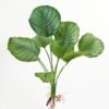 Artificial Plant GS-70623012CONTI_4 Artificial Plant GS-70623012CONTI Leaves&Sprays&Foliages YeahFlower is one of Chinese leading OEM manufacturers and exporters , supplying the silk flowers, wholesale artificial trees
