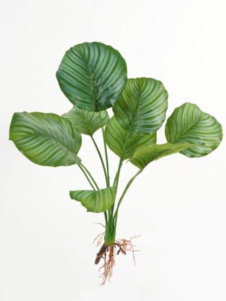 Artificial Plant 22*30cm Orchid leaf single stem/6 lvs GS-64923011CONTI Leaves&Sprays&Foliages 3,000+ sqm showroom with thousands of artificial flowers, plants & trees ready for global sourcing.