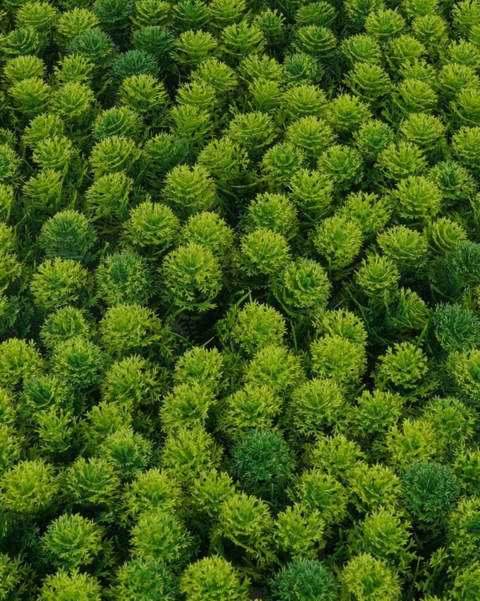 Artificial Plant 62*44*8cm Grass mat GS-36623007CONTI Leaves&Sprays&Foliages YeahFlower is one of Chinese leading OEM manufacturers and exporters , supplying the silk flowers, wholesale artificial trees