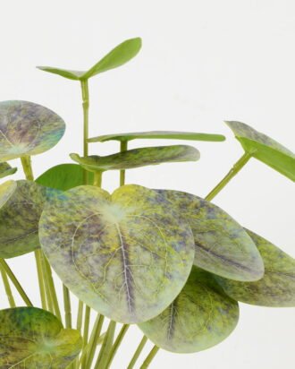 Artificial Plant 22*22*27cm Leaf bush GS-70523001CONTI-G3 Leaves&Sprays&Foliages YeahFlower is one of Chinese leading OEM manufacturers and exporters , supplying the silk flowers, wholesale artificial trees Artificial Plant 22*22*27cm Leaf bush GS-70523001CONTI-G3 Leaves&Sprays&Foliages YeahFlower is one of Chinese leading OEM manufacturers and exporters , supplying the silk flowers, wholesale artificial trees