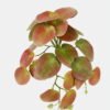 Artificial Plant 24*20*16cm Leaf hanging GS-70523002CONTI Leaves&Sprays&Foliages YeahFlower is one of Chinese leading OEM manufacturers and exporters , supplying the silk flowers, wholesale artificial trees