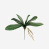 Artificial Plant Orchid leaf single stem 6 lvs GS-64923011CONTI_1 Artificial Plant 22*30cm Orchid leaf single stem/6 lvs GS-64923011CONTI Leaves&Sprays&Foliages YeahFlower is one of Chinese leading OEM manufacturers and exporters , supplying the silk flowers, wholesale artificial trees