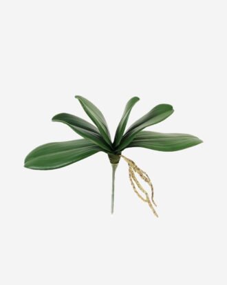 Artificial Plant 22*30cm Orchid leaf single stem/6 lvs GS-64923011CONTI Leaves&Sprays&Foliages YeahFlower is one of Chinese leading OEM manufacturers and exporters , supplying the silk flowers, wholesale artificial trees Artificial Plant 22*30cm Orchid leaf single stem/6 lvs GS-64923011CONTI Leaves&Sprays&Foliages YeahFlower is one of Chinese leading OEM manufacturers and exporters , supplying the silk flowers, wholesale artificial trees