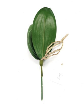 Artificial Plant 22*30cm Orchid leaf single stem/6 lvs GS-64923011CONTI Leaves&Sprays&Foliages YeahFlower is one of Chinese leading OEM manufacturers and exporters , supplying the silk flowers, wholesale artificial trees Artificial Plant 22*30cm Orchid leaf single stem/6 lvs GS-64923011CONTI Leaves&Sprays&Foliages YeahFlower is one of Chinese leading OEM manufacturers and exporters , supplying the silk flowers, wholesale artificial trees