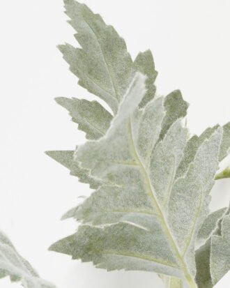 Artificial Plant 20*20*34cm leaf single stem GS-45023007-G1 Leaves&Sprays&Foliages YeahFlower is one of Chinese leading OEM manufacturers and exporters , supplying the silk flowers, wholesale artificial trees Artificial Plant 20*20*34cm leaf single stem GS-45023007-G1 Leaves&Sprays&Foliages YeahFlower is one of Chinese leading OEM manufacturers and exporters , supplying the silk flowers, wholesale artificial trees