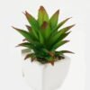 Artificial succulent 11*17*16cm Succulent plants in PP pot GS-70423003CONTI-G3 Succulent YeahFlower is one of Chinese leading OEM manufacturers and exporters , supplying the silk flowers, wholesale artificial trees