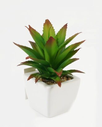 Artificial succulent 11*17*16cm Succulent plants in PP pot GS-70423003CONTI-G3 Succulent YeahFlower is one of Chinese leading OEM manufacturers and exporters , supplying the silk flowers, wholesale artificial trees Artificial succulent 11*17*16cm Succulent plants in PP pot GS-70423003CONTI-G3 Succulent YeahFlower is one of Chinese leading OEM manufacturers and exporters , supplying the silk flowers, wholesale artificial trees