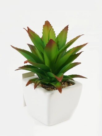 Artificial succulent 11*11*12cm Succulent plants in PP pot GS-70423004CONTI Succulent 3,000+ sqm showroom with thousands of artificial flowers, plants & trees ready for global sourcing.