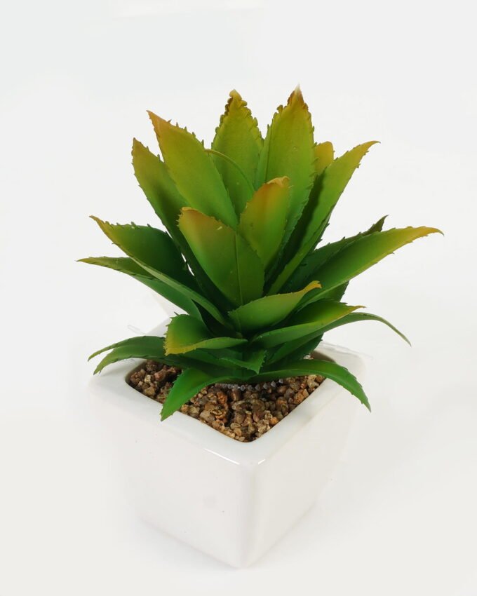 Artificial succulent 11*17*16cm Succulent plants in PP pot GS-70423003CONTI-G3 Succulent YeahFlower is one of Chinese leading OEM manufacturers and exporters , supplying the silk flowers, wholesale artificial trees
