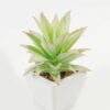 Artificial succulent 11*17*16cm Succulent plants in PP pot GS-70423003CONTI-G3 Succulent YeahFlower is one of Chinese leading OEM manufacturers and exporters , supplying the silk flowers, wholesale artificial trees