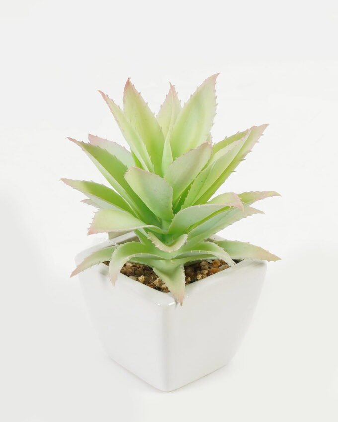Artificial succulent 11*17*16cm Succulent plants in PP pot GS-70423003CONTI-G3 Succulent YeahFlower is one of Chinese leading OEM manufacturers and exporters , supplying the silk flowers, wholesale artificial trees