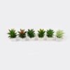 Artificial Succulent plants in PP pot GS-70423003CONTI_3 Artificial succulent 11*17*16cm Succulent plants in PP pot GS-70423003CONTI Succulent YeahFlower is one of Chinese leading OEM manufacturers and exporters , supplying the silk flowers, wholesale artificial trees