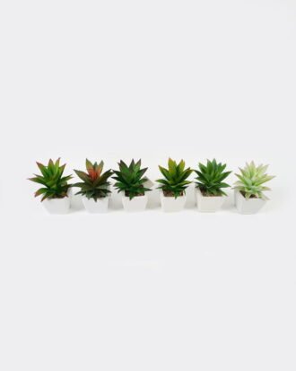 Artificial succulent 11*17*16cm Succulent plants in PP pot GS-70423003CONTI Succulent YeahFlower is one of Chinese leading OEM manufacturers and exporters , supplying the silk flowers, wholesale artificial trees Artificial succulent 11*17*16cm Succulent plants in PP pot GS-70423003CONTI Succulent YeahFlower is one of Chinese leading OEM manufacturers and exporters , supplying the silk flowers, wholesale artificial trees