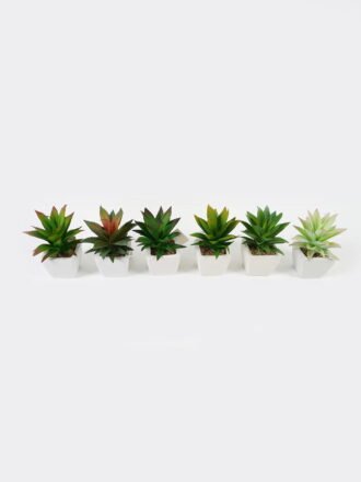 Artificial succulent 8*8*8cm Ball cactus cactus GS-69223004 Succulent 3,000+ sqm showroom with thousands of artificial flowers, plants & trees ready for global sourcing.