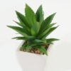 Artificial Succulent plants in PP pot GS-70423003CONTI_4 Artificial succulent 11*17*16cm Succulent plants in PP pot GS-70423003CONTI Succulent YeahFlower is one of Chinese leading OEM manufacturers and exporters , supplying the silk flowers, wholesale artificial trees