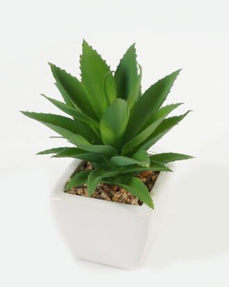 Artificial succulent 11*17*16cm Succulent plants in PP pot GS-70423003CONTI Succulent YeahFlower is one of Chinese leading OEM manufacturers and exporters , supplying the silk flowers, wholesale artificial trees Artificial succulent 11*17*16cm Succulent plants in PP pot GS-70423003CONTI Succulent YeahFlower is one of Chinese leading OEM manufacturers and exporters , supplying the silk flowers, wholesale artificial trees