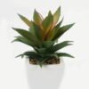 Artificial Succulent plants in PP pot GS-70423003CONTI_5 Artificial succulent 11*17*16cm Succulent plants in PP pot GS-70423003CONTI Succulent YeahFlower is one of Chinese leading OEM manufacturers and exporters , supplying the silk flowers, wholesale artificial trees