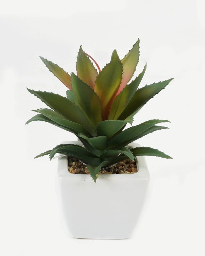 Artificial Succulent plants in PP pot GS-70423003CONTI_5 Artificial succulent 11*17*16cm Succulent plants in PP pot GS-70423003CONTI Succulent YeahFlower is one of Chinese leading OEM manufacturers and exporters , supplying the silk flowers, wholesale artificial trees