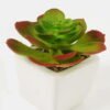 Artificial succulent 11*11*12cm Succulent plants in PP pot GS-70423004CONTI-G3 Succulent YeahFlower is one of Chinese leading OEM manufacturers and exporters , supplying the silk flowers, wholesale artificial trees