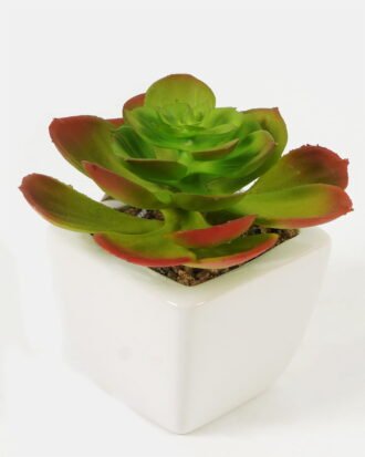 Artificial succulent 11*11*12cm Succulent plants in PP pot GS-70423004CONTI-G3 Succulent YeahFlower is one of Chinese leading OEM manufacturers and exporters , supplying the silk flowers, wholesale artificial trees Artificial succulent 11*11*12cm Succulent plants in PP pot GS-70423004CONTI-G3 Succulent YeahFlower is one of Chinese leading OEM manufacturers and exporters , supplying the silk flowers, wholesale artificial trees