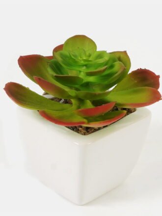 Artificial succulent 11*11*12cm Succulent plants in PP pot GS-70423004CONTI Succulent 3,000+ sqm showroom with thousands of artificial flowers, plants & trees ready for global sourcing.