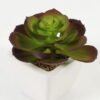 Artificial succulent 11*11*12cm Succulent plants in PP pot GS-70423004CONTI-G3 Succulent YeahFlower is one of Chinese leading OEM manufacturers and exporters , supplying the silk flowers, wholesale artificial trees