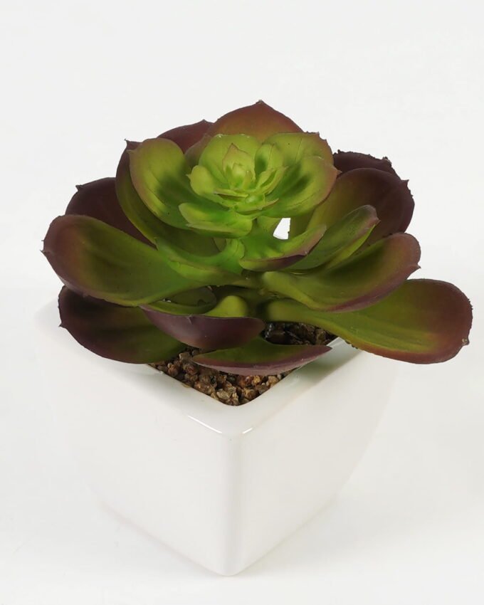 Artificial succulent 11*11*12cm Succulent plants in PP pot GS-70423004CONTI-G3 Succulent YeahFlower is one of Chinese leading OEM manufacturers and exporters , supplying the silk flowers, wholesale artificial trees