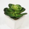 Artificial succulent 11*11*12cm Succulent plants in PP pot GS-70423004CONTI-G3 Succulent YeahFlower is one of Chinese leading OEM manufacturers and exporters , supplying the silk flowers, wholesale artificial trees