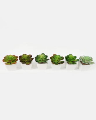 Artificial succulent 11*11*12cm Succulent plants in PP pot GS-70423004CONTI Succulent YeahFlower is one of Chinese leading OEM manufacturers and exporters , supplying the silk flowers, wholesale artificial trees Artificial succulent 11*11*12cm Succulent plants in PP pot GS-70423004CONTI Succulent YeahFlower is one of Chinese leading OEM manufacturers and exporters , supplying the silk flowers, wholesale artificial trees