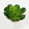 Artificial succulent 11*11*12cm Succulent plants in PP pot GS-70423004CONTI Succulent YeahFlower is one of Chinese leading OEM manufacturers and exporters , supplying the silk flowers, wholesale artificial trees