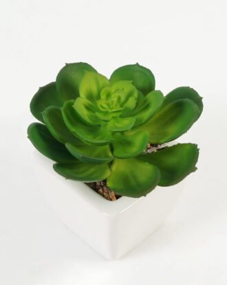Artificial succulent 11*11*12cm Succulent plants in PP pot GS-70423004CONTI Succulent YeahFlower is one of Chinese leading OEM manufacturers and exporters , supplying the silk flowers, wholesale artificial trees Artificial succulent 11*11*12cm Succulent plants in PP pot GS-70423004CONTI Succulent YeahFlower is one of Chinese leading OEM manufacturers and exporters , supplying the silk flowers, wholesale artificial trees