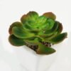 Artificial succulent 11*11*12cm Succulent plants in PP pot GS-70423004CONTI Succulent YeahFlower is one of Chinese leading OEM manufacturers and exporters , supplying the silk flowers, wholesale artificial trees