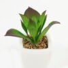 Artificial succulent 8*8*9cm Succulent plants in PP pot GS-70423005CONTI-G4 Succulent YeahFlower is one of Chinese leading OEM manufacturers and exporters , supplying the silk flowers, wholesale artificial trees