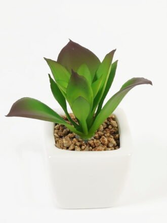 Artificial succulent 7*7*9cm Succulent plants in PP pot GS-70423006CONTI Succulent 3,000+ sqm showroom with thousands of artificial flowers, plants & trees ready for global sourcing.