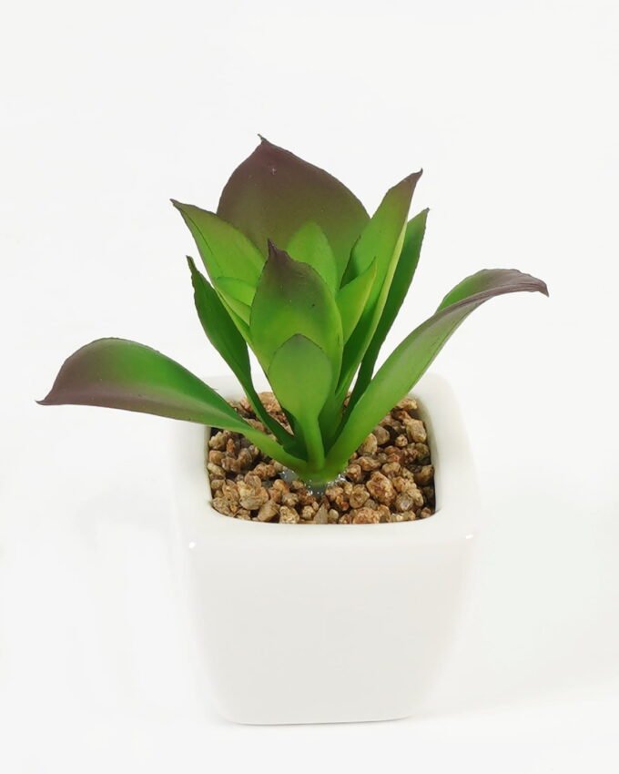 Artificial succulent 8*8*9cm Succulent plants in PP pot GS-70423005CONTI-G4 Succulent YeahFlower is one of Chinese leading OEM manufacturers and exporters , supplying the silk flowers, wholesale artificial trees
