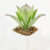 Artificial succulent 8*8*9cm Succulent plants in PP pot GS-70423005CONTI-G4 Succulent YeahFlower is one of Chinese leading OEM manufacturers and exporters , supplying the silk flowers, wholesale artificial trees