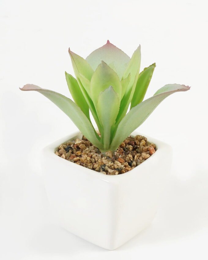 Artificial succulent 8*8*9cm Succulent plants in PP pot GS-70423005CONTI-G4 Succulent YeahFlower is one of Chinese leading OEM manufacturers and exporters , supplying the silk flowers, wholesale artificial trees