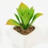 Artificial succulent 8*8*9cm Succulent plants in PP pot GS-70423005CONTI-G4 Succulent YeahFlower is one of Chinese leading OEM manufacturers and exporters , supplying the silk flowers, wholesale artificial trees