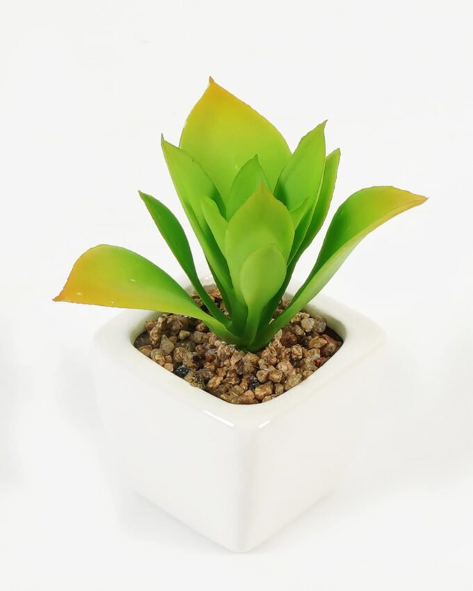 Artificial succulent 8*8*9cm Succulent plants in PP pot GS-70423005CONTI-G4 Succulent YeahFlower is one of Chinese leading OEM manufacturers and exporters , supplying the silk flowers, wholesale artificial trees