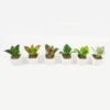 Artificial succulent 8*8*9cm Succulent plants in PP pot GS-70423005CONTI Succulent YeahFlower is one of Chinese leading OEM manufacturers and exporters , supplying the silk flowers, wholesale artificial trees