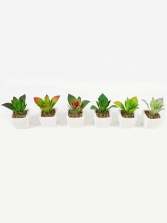 Artificial succulent 8*8*9cm Succulent plants in PP pot GS-70423005CONTI-G4 Succulent 3,000+ sqm showroom with thousands of artificial flowers, plants & trees ready for global sourcing.