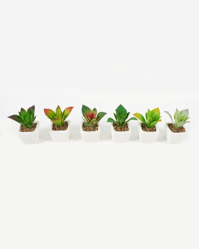 Artificial succulent 8*8*9cm Succulent plants in PP pot GS-70423005CONTI Succulent YeahFlower is one of Chinese leading OEM manufacturers and exporters , supplying the silk flowers, wholesale artificial trees