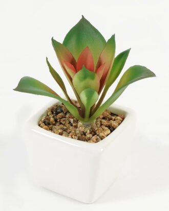 Artificial succulent 8*8*9cm Succulent plants in PP pot GS-70423005CONTI Succulent YeahFlower is one of Chinese leading OEM manufacturers and exporters , supplying the silk flowers, wholesale artificial trees Artificial succulent 8*8*9cm Succulent plants in PP pot GS-70423005CONTI Succulent YeahFlower is one of Chinese leading OEM manufacturers and exporters , supplying the silk flowers, wholesale artificial trees