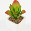 Artificial succulent 8*8*9cm Succulent plants in PP pot GS-70423005CONTI Succulent YeahFlower is one of Chinese leading OEM manufacturers and exporters , supplying the silk flowers, wholesale artificial trees