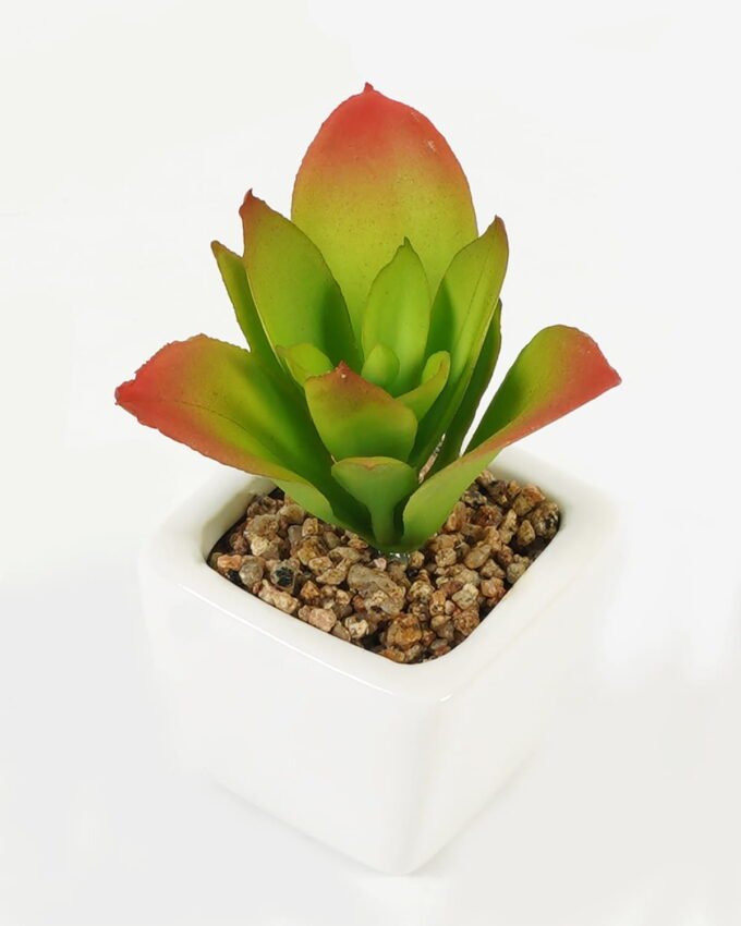Artificial succulent 8*8*9cm Succulent plants in PP pot GS-70423005CONTI Succulent YeahFlower is one of Chinese leading OEM manufacturers and exporters , supplying the silk flowers, wholesale artificial trees