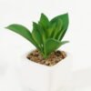 Artificial succulent 8*8*9cm Succulent plants in PP pot GS-70423005CONTI Succulent YeahFlower is one of Chinese leading OEM manufacturers and exporters , supplying the silk flowers, wholesale artificial trees