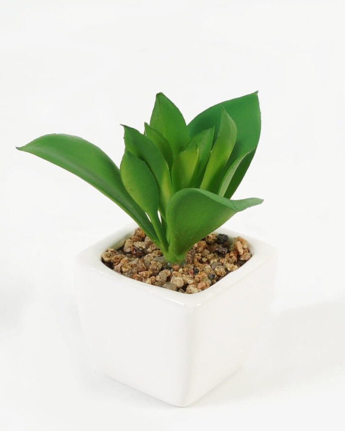 Artificial succulent 8*8*9cm Succulent plants in PP pot GS-70423005CONTI Succulent YeahFlower is one of Chinese leading OEM manufacturers and exporters , supplying the silk flowers, wholesale artificial trees