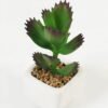 Artificial Succulent plants in PP pot GS-70423006CONTI-G4_1 Artificial succulent 7*7*9cm Succulent plants in PP pot GS-70423006CONTI-G4 Succulent YeahFlower is one of Chinese leading OEM manufacturers and exporters , supplying the silk flowers, wholesale artificial trees