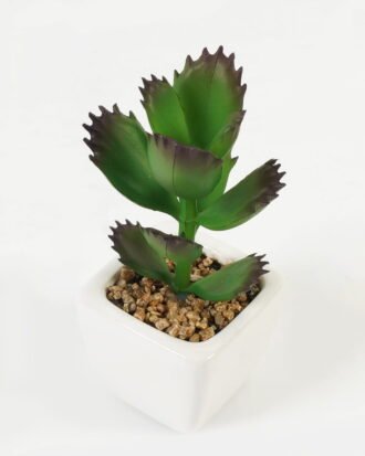 Artificial succulent 7*7*9cm Succulent plants in PP pot GS-70423006CONTI-G4 Succulent YeahFlower is one of Chinese leading OEM manufacturers and exporters , supplying the silk flowers, wholesale artificial trees Artificial succulent 7*7*9cm Succulent plants in PP pot GS-70423006CONTI-G4 Succulent YeahFlower is one of Chinese leading OEM manufacturers and exporters , supplying the silk flowers, wholesale artificial trees
